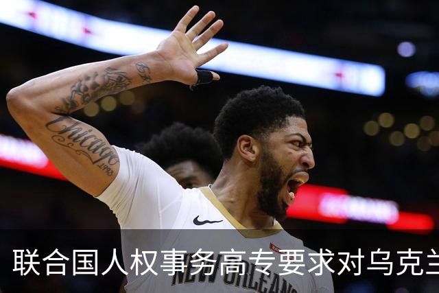 联合国人权事务高专要求对乌克兰针对俄平民的袭击展开调查